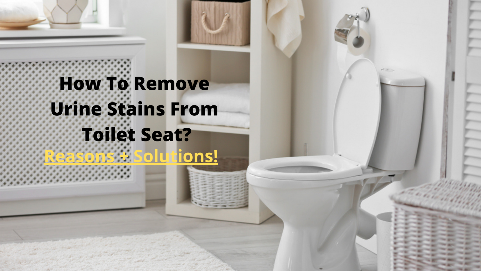 how-to-remove-urine-stains-from-toilet-seat-toiletvibe