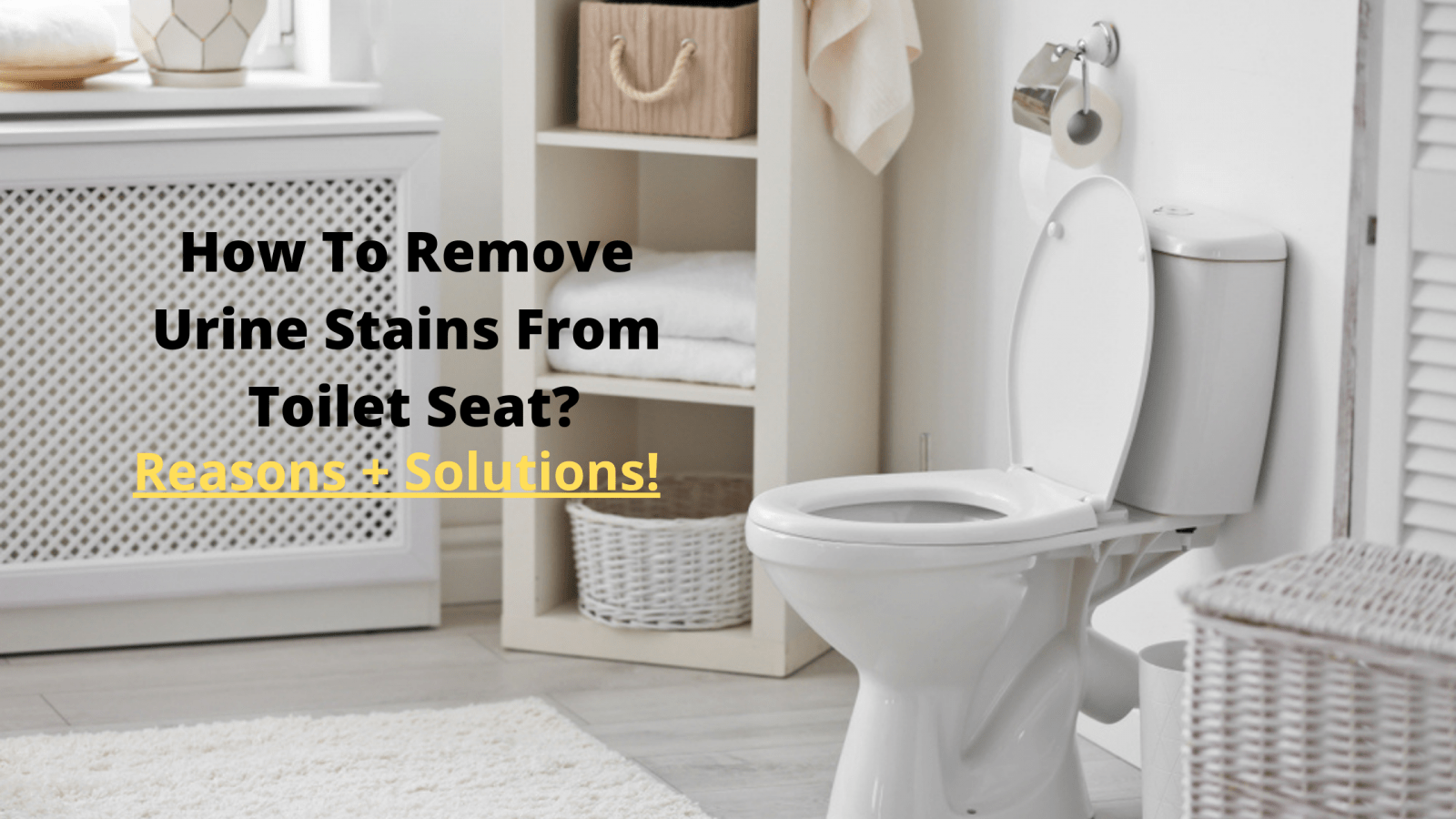 How To Remove Urine Stains From Toilet Seat? Toiletvibe